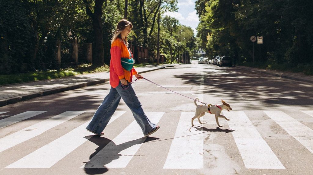 Female walking dog across the street