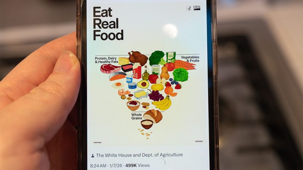 New inverted food pyramid on smartphone